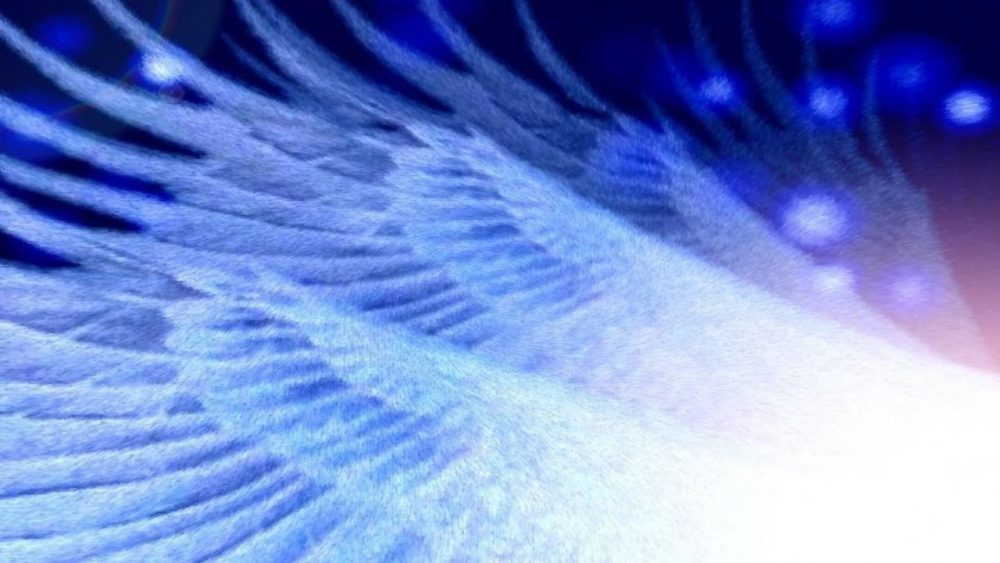 CHIAMARE GLI ANGELI – Guarda l'anima
